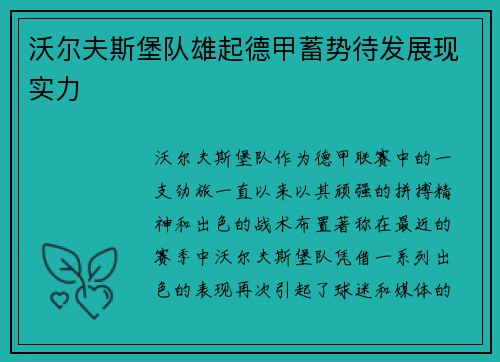沃尔夫斯堡队雄起德甲蓄势待发展现实力